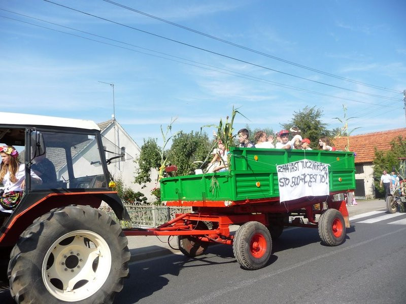 Parada słomianych dożynkowych postaci (zdjęcia)