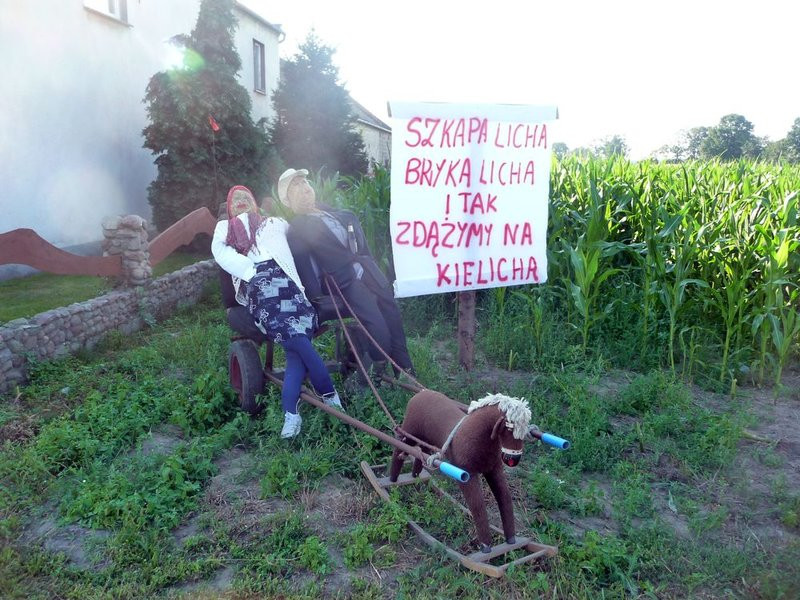 Parada słomianych dożynkowych postaci (zdjęcia)