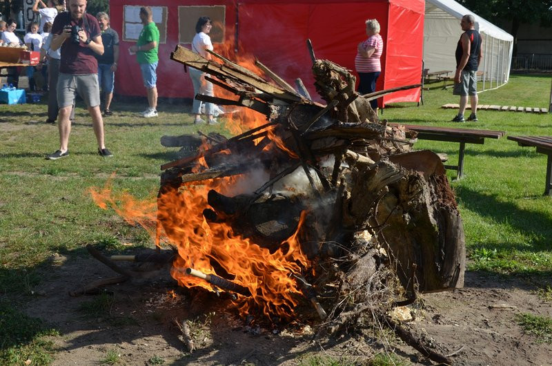 Będą biegać do godz. 16 (zdjęcia)