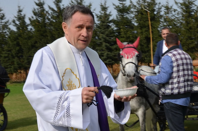 Za lisią kitą (zdjęcia)