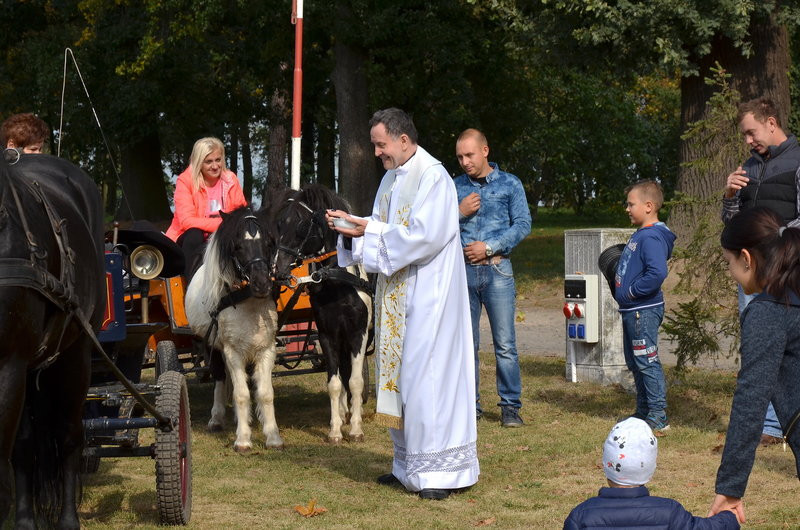 Za lisią kitą (zdjęcia)