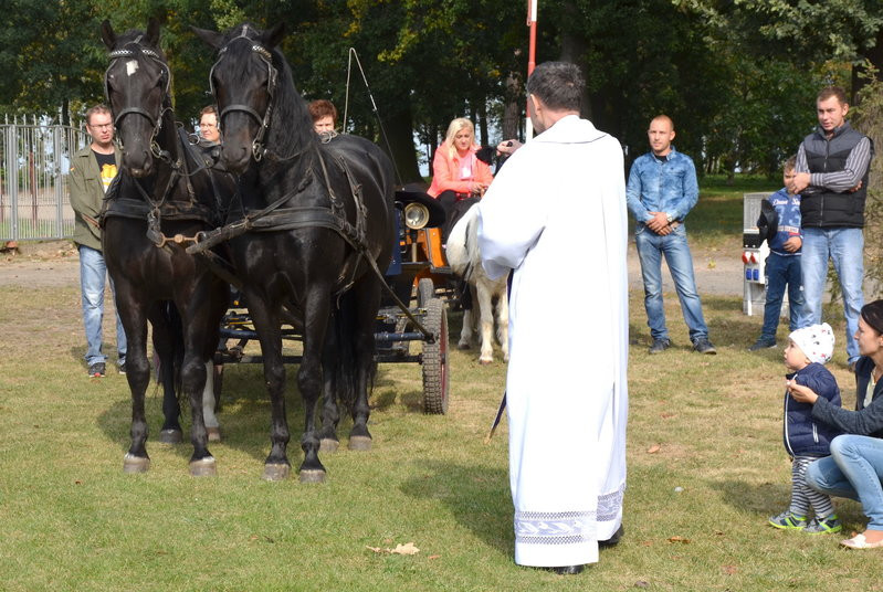 Za lisią kitą (zdjęcia)