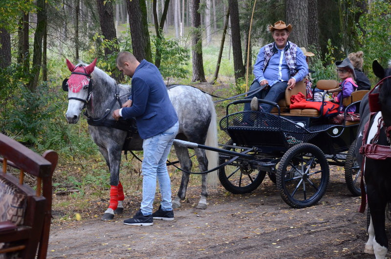 Za lisią kitą (zdjęcia)