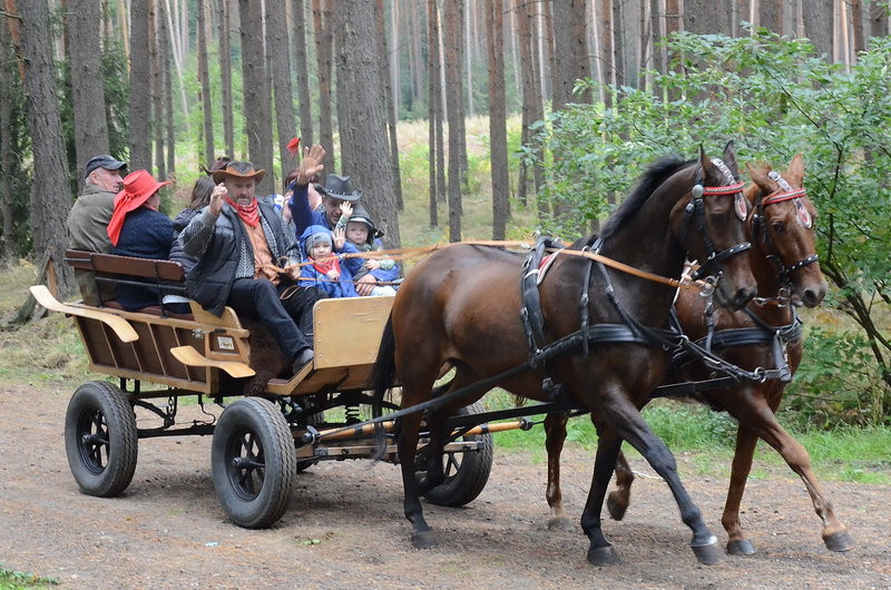Za lisią kitą (zdjęcia)