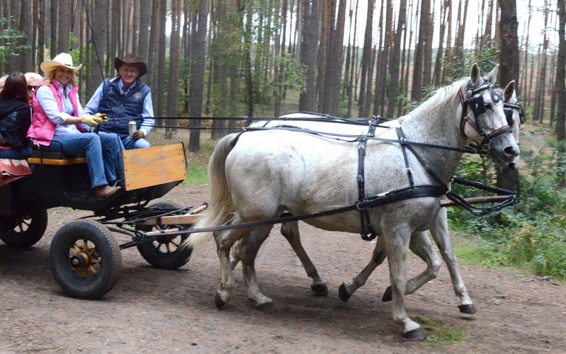 Za lisią kitą (zdjęcia)