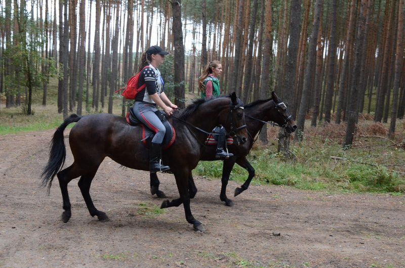 Za lisią kitą (zdjęcia)