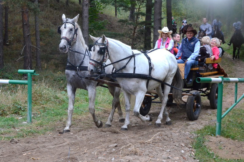 Za lisią kitą (zdjęcia)