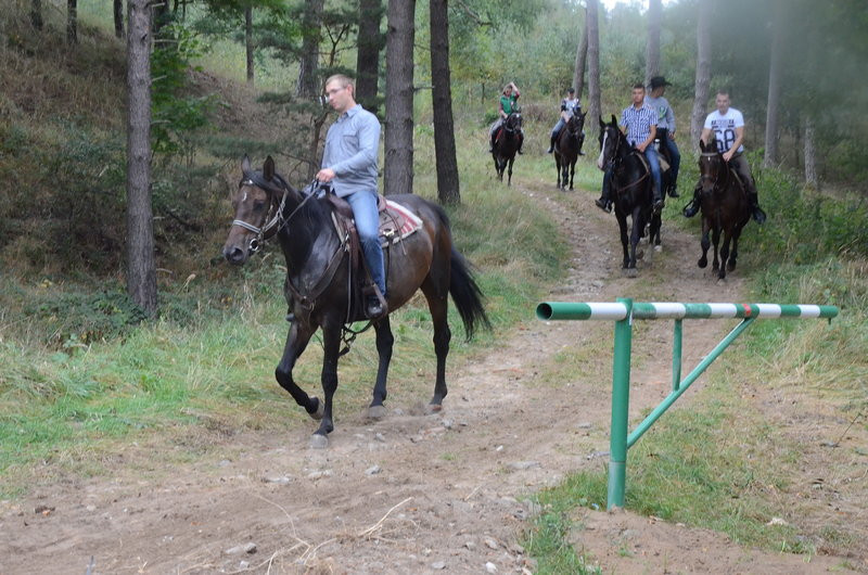 Za lisią kitą (zdjęcia)