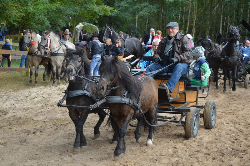 Za lisią kitą (zdjęcia)