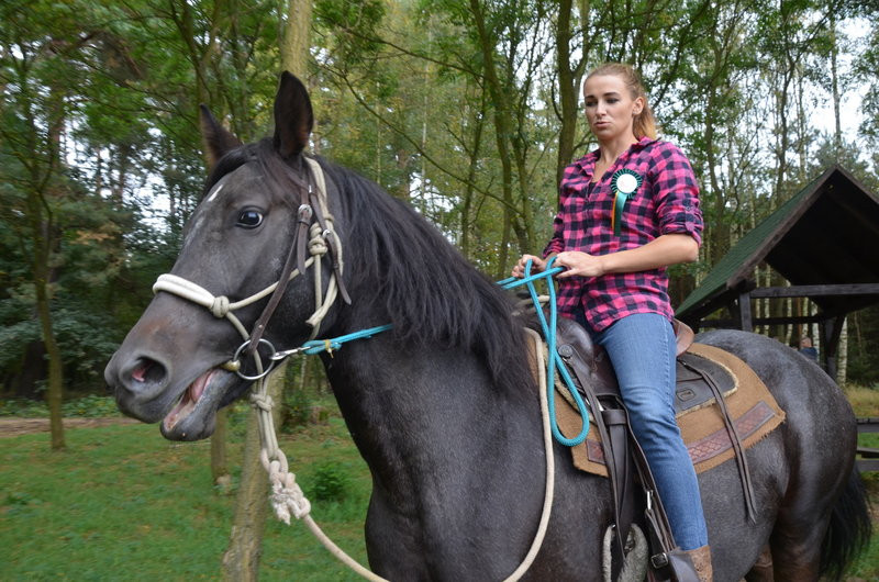 Za lisią kitą (zdjęcia)