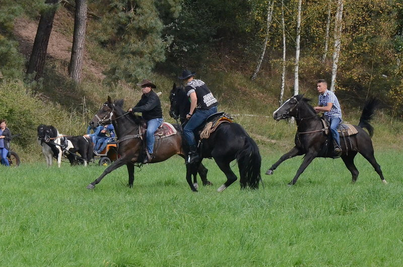 Za lisią kitą (zdjęcia)