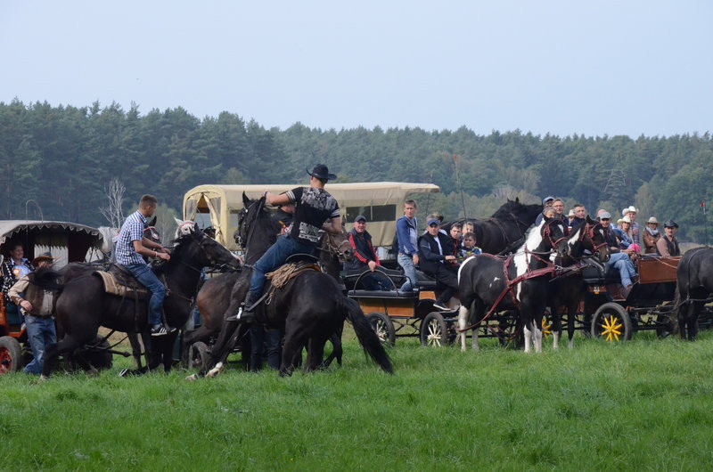 Za lisią kitą (zdjęcia)