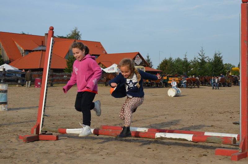 Za lisią kitą (zdjęcia)
