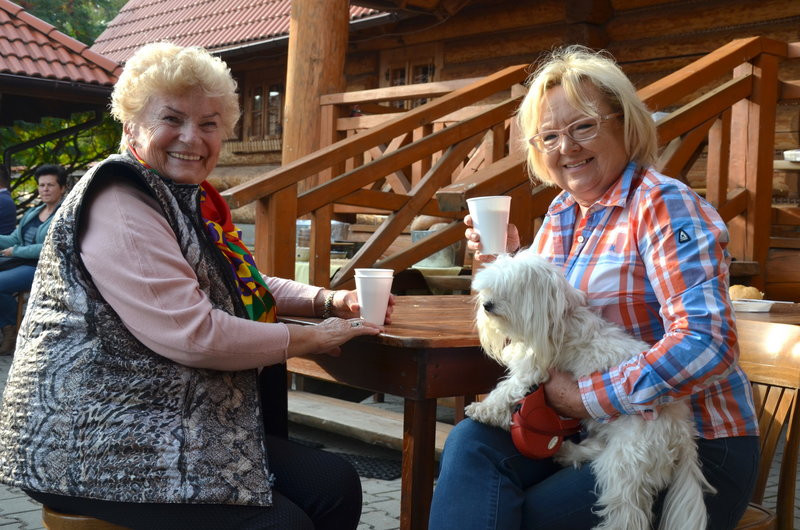 Za lisią kitą (zdjęcia)