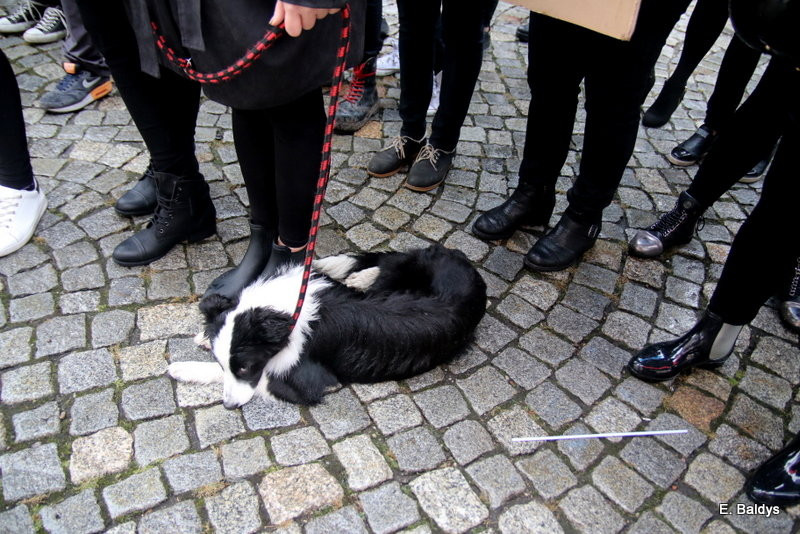 Czarny Protest w Lesznie (zdjęcia)