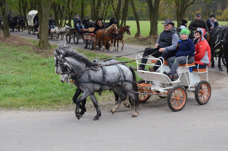 Hubertus po bukówiecku (zdjęcia)