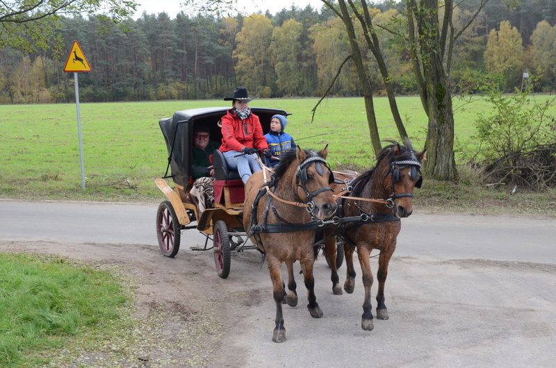 Hubertus po bukówiecku (zdjęcia)