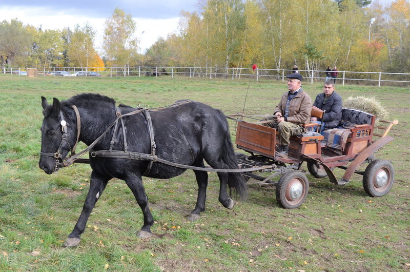 Hubertus po bukówiecku (zdjęcia)
