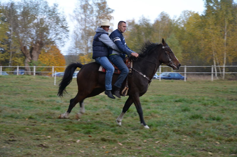 Hubertus po bukówiecku (zdjęcia)