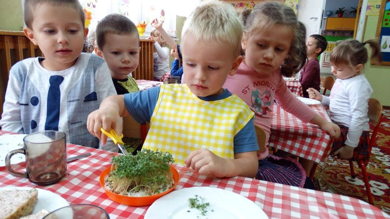Ufundowali tablice w Parku 1000-lecia (zdjęcia)