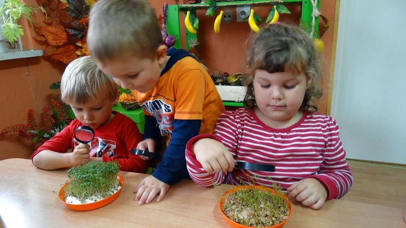 Ufundowali tablice w Parku 1000-lecia (zdjęcia)