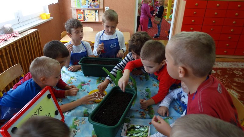 Ufundowali tablice w Parku 1000-lecia (zdjęcia)