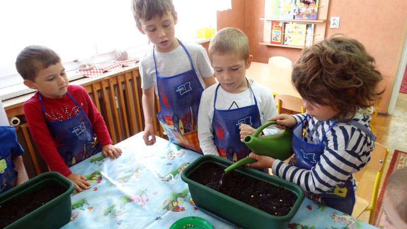 Ufundowali tablice w Parku 1000-lecia (zdjęcia)