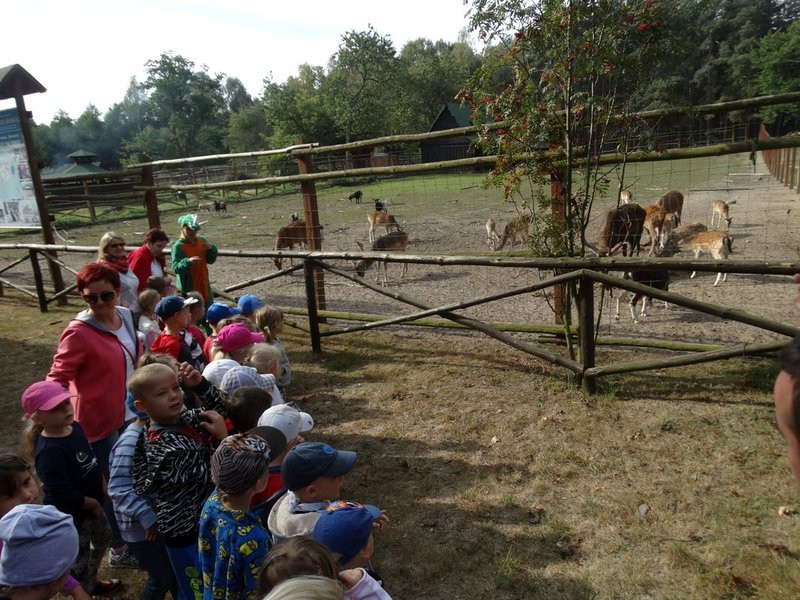 Ufundowali tablice w Parku 1000-lecia (zdjęcia)