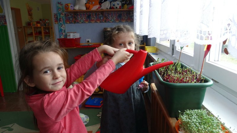 Ufundowali tablice w Parku 1000-lecia (zdjęcia)