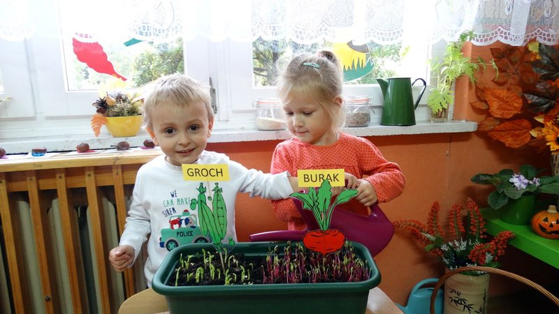 Ufundowali tablice w Parku 1000-lecia (zdjęcia)