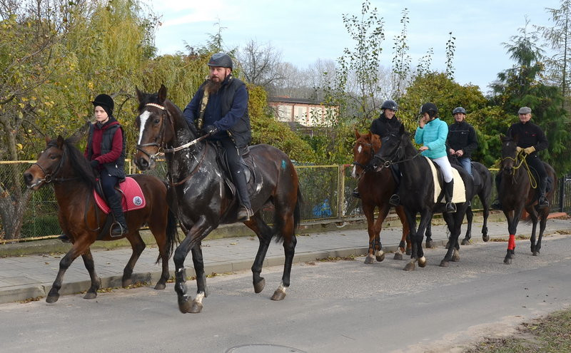 Przejażdżka, pogoń i zabawa (zdjęcia)