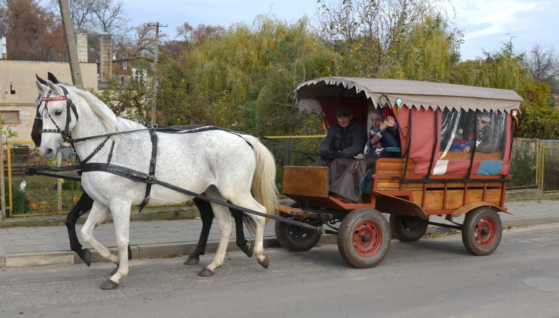 Przejażdżka, pogoń i zabawa (zdjęcia)