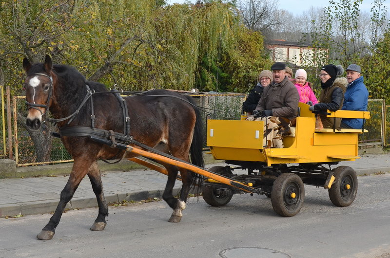 Przejażdżka, pogoń i zabawa (zdjęcia)