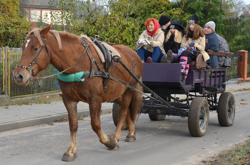 Przejażdżka, pogoń i zabawa (zdjęcia)