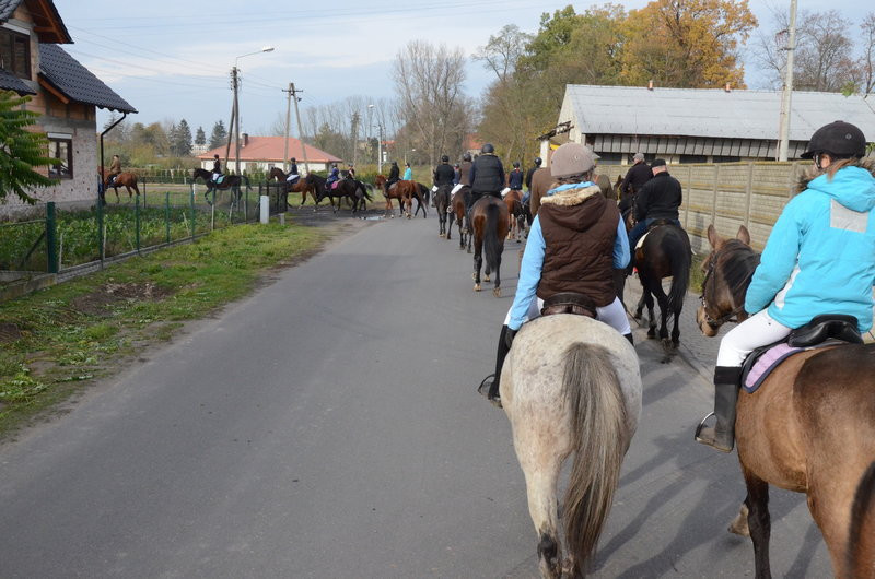 Przejażdżka, pogoń i zabawa (zdjęcia)