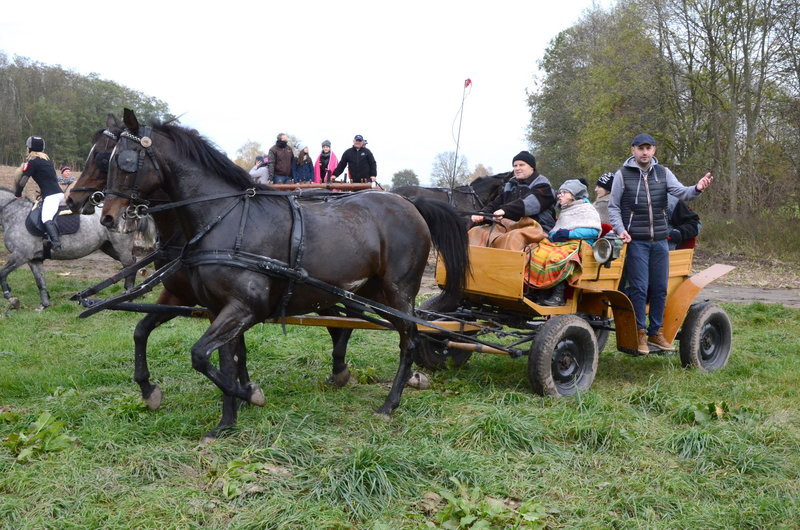 Przejażdżka, pogoń i zabawa (zdjęcia)