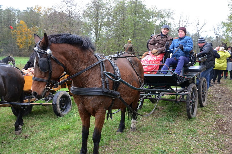 Przejażdżka, pogoń i zabawa (zdjęcia)