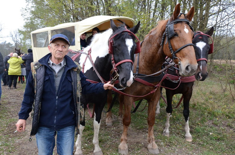 Przejażdżka, pogoń i zabawa (zdjęcia)