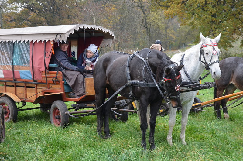 Przejażdżka, pogoń i zabawa (zdjęcia)