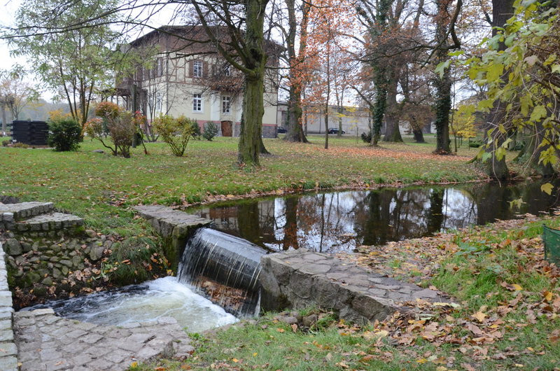 Przejażdżka, pogoń i zabawa (zdjęcia)