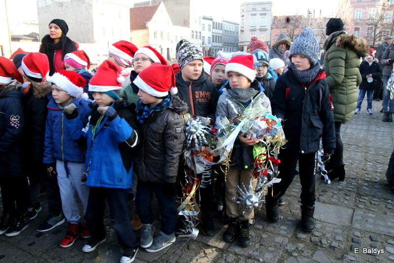 Ekologiczna choinka na Nowym Rynku (zdjęcia)