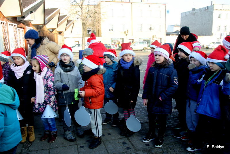 Ekologiczna choinka na Nowym Rynku (zdjęcia)