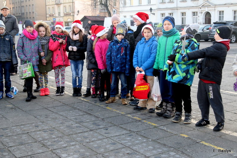 Ekologiczna choinka na Nowym Rynku (zdjęcia)