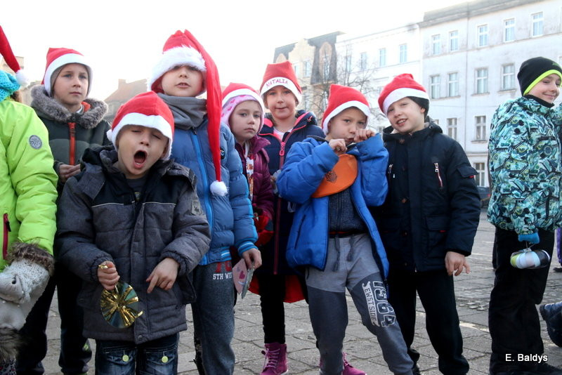 Ekologiczna choinka na Nowym Rynku (zdjęcia)
