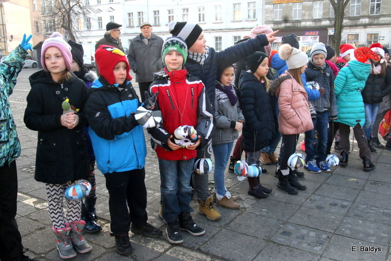 Ekologiczna choinka na Nowym Rynku (zdjęcia)