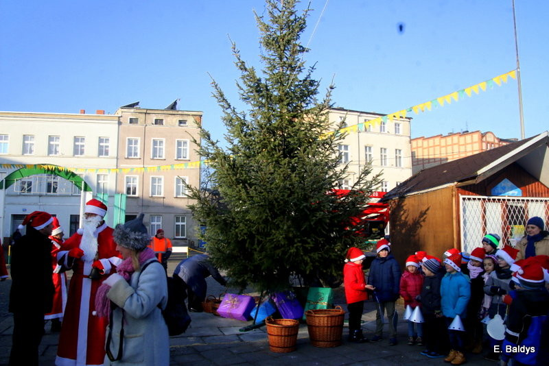 Ekologiczna choinka na Nowym Rynku (zdjęcia)