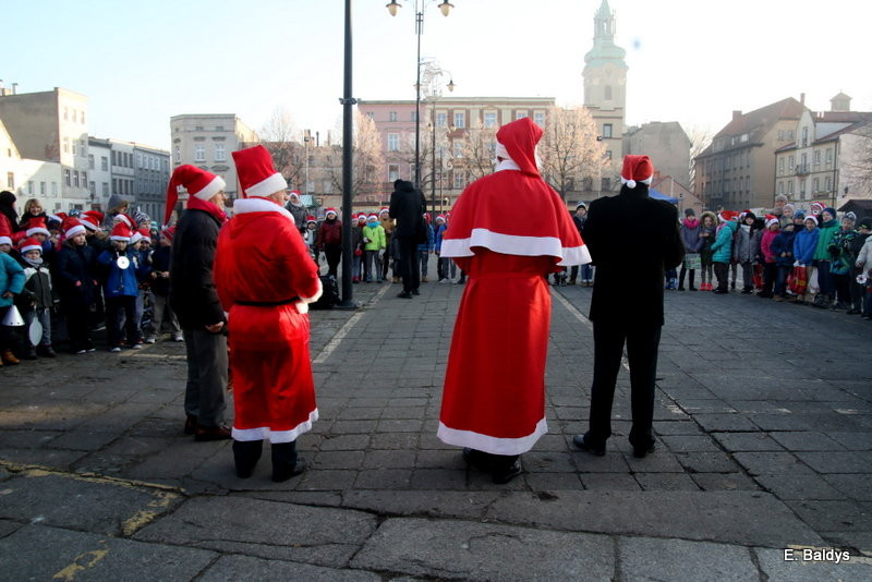 Ekologiczna choinka na Nowym Rynku (zdjęcia)