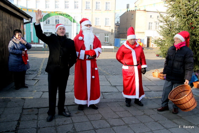 Ekologiczna choinka na Nowym Rynku (zdjęcia)