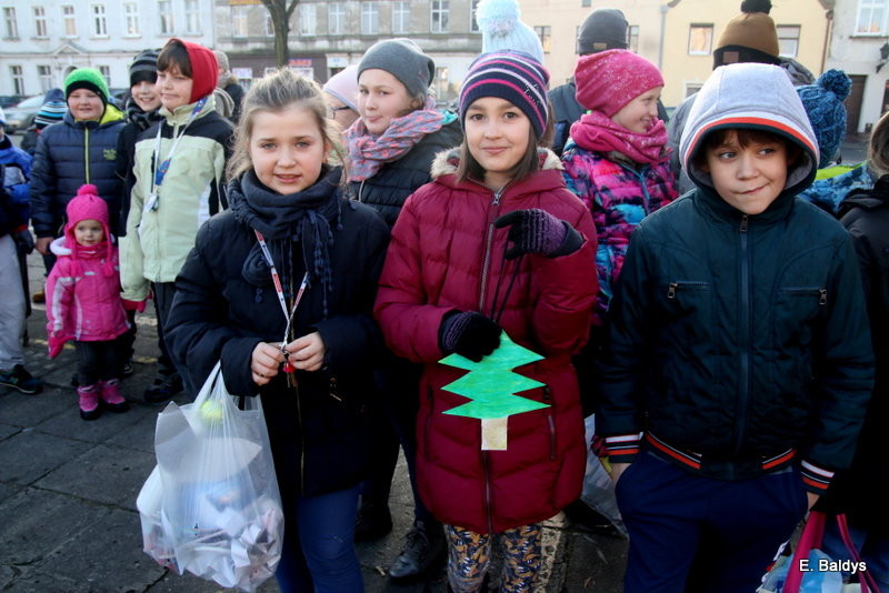 Ekologiczna choinka na Nowym Rynku (zdjęcia)