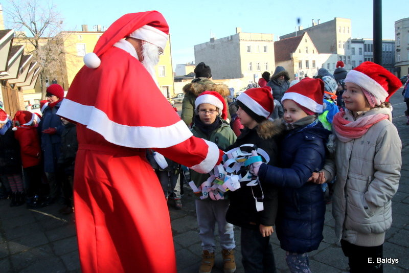 Ekologiczna choinka na Nowym Rynku (zdjęcia)